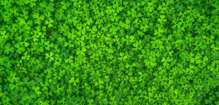 I'm Feeling Lucky | Focus Rooms Conference & Event Venue